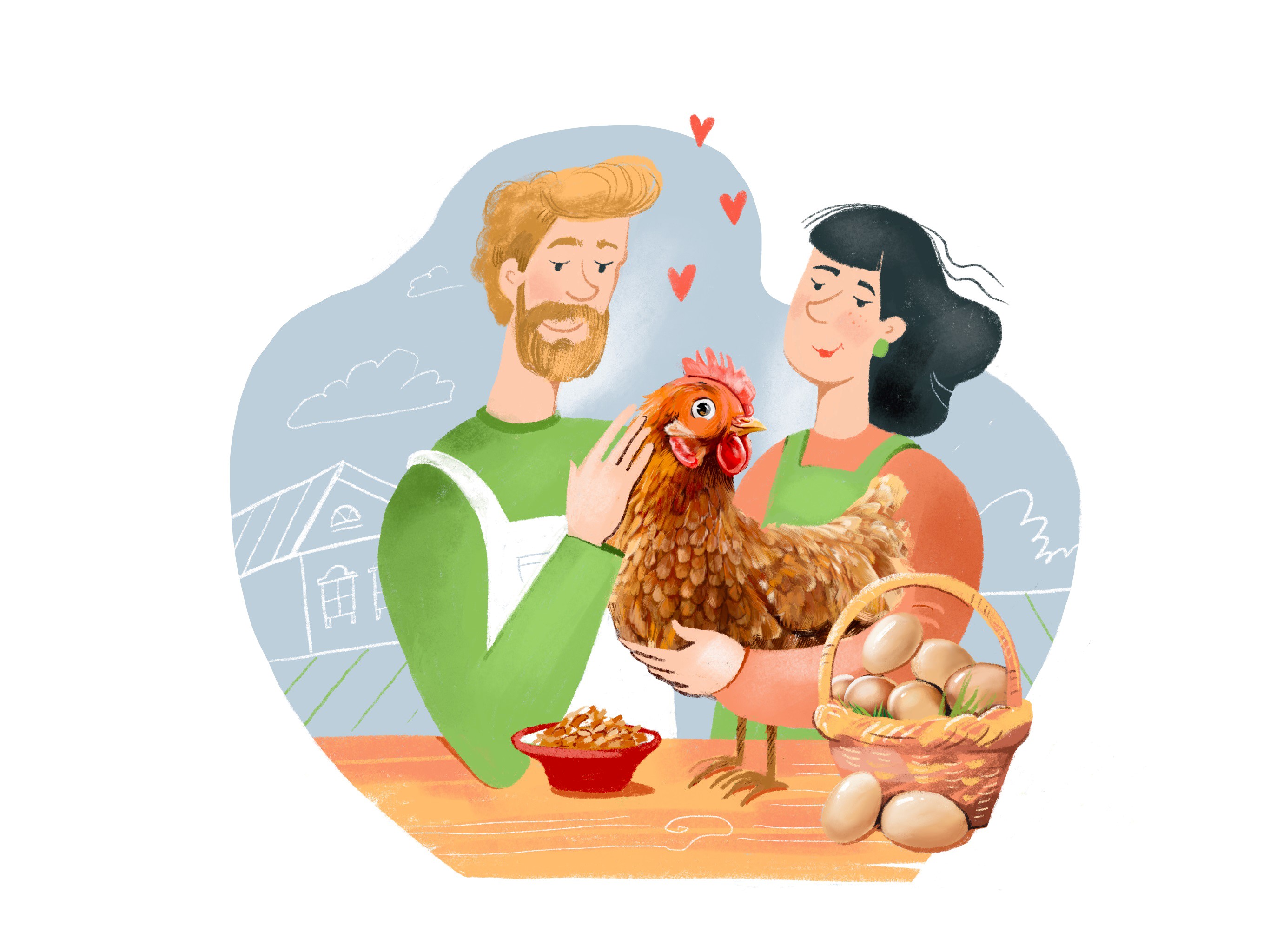 Несучки: початок. поради для тих, хто вирішив розводити курей-несучок